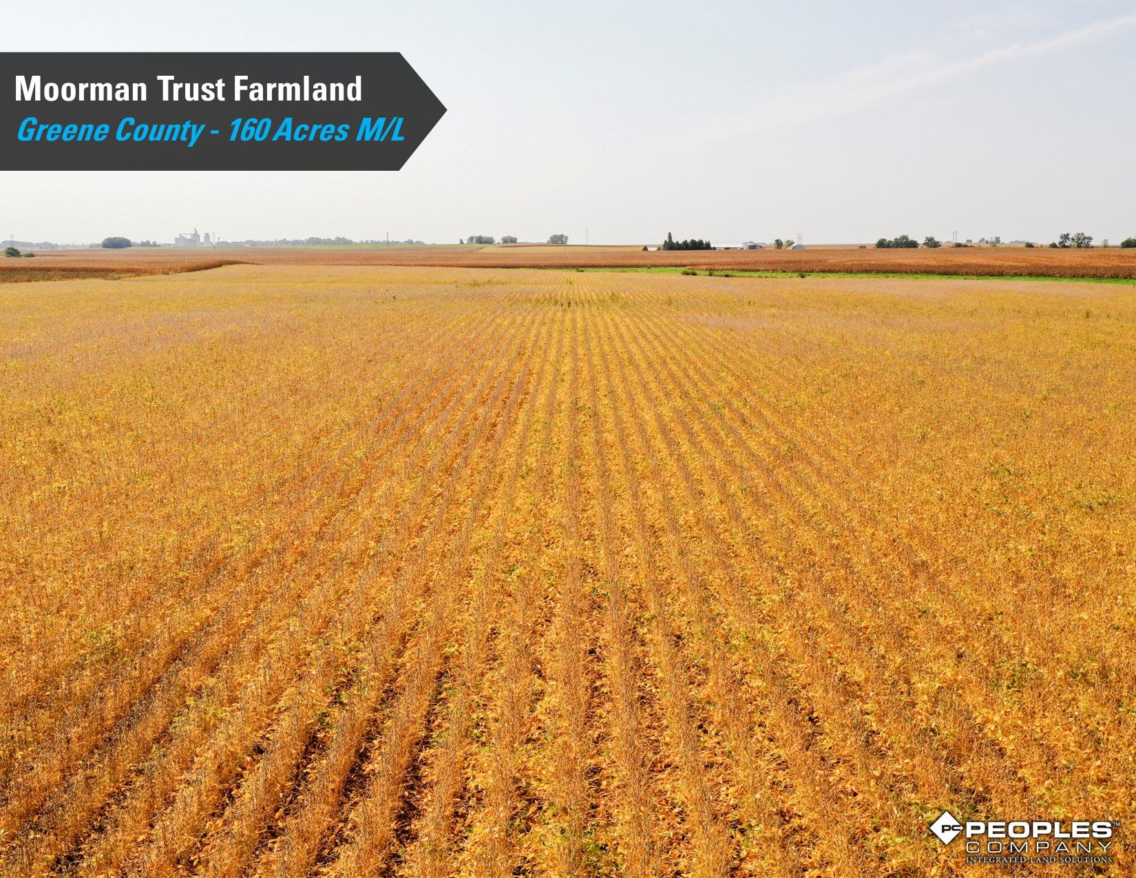 Listing Photo: Greene-County-Iowa-Farmland-Auction-160-Acres-Moorman-Rippey-IA-18618 (18)